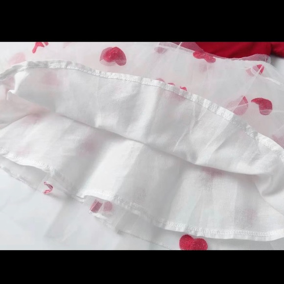Valentine Love Ruffle Dress with Embroidered heart tutu 5/6 - Picture 3 of 3